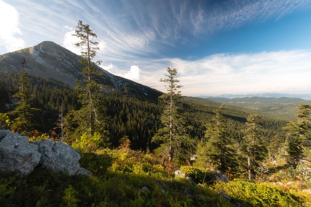 Hauts plateaux du Vercors